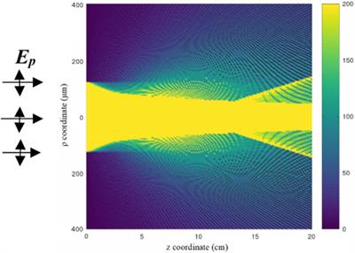 Light-focusing phenomena of field-tuned micro-lens made of polymer-stabilized blue phase liquid crystals